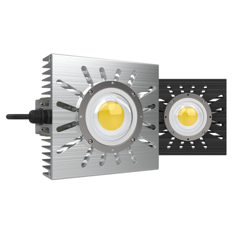 天井燈怎麼選？從種類到挑選重點的完整指南